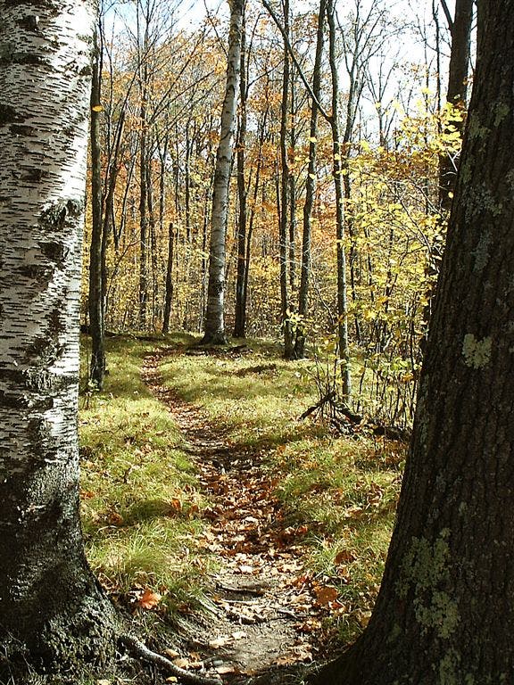 Superior Hiking Trail None