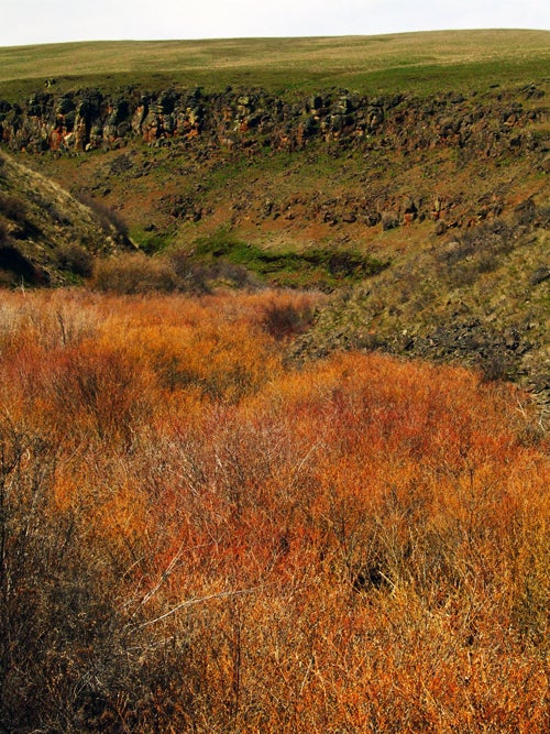 Swale Canyon None