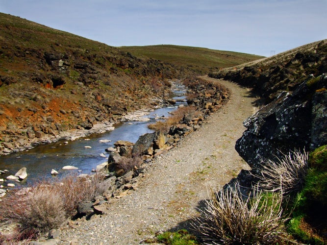 Swale Creek None