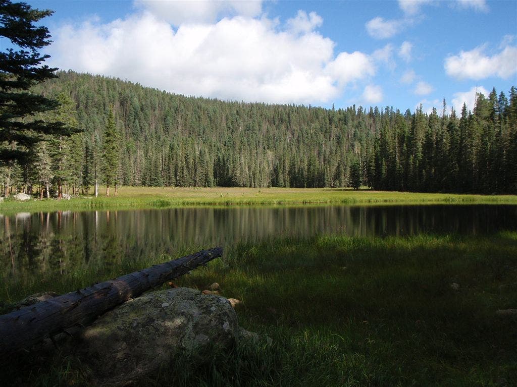 A swampy pond before arriving at Stewart Lake. 