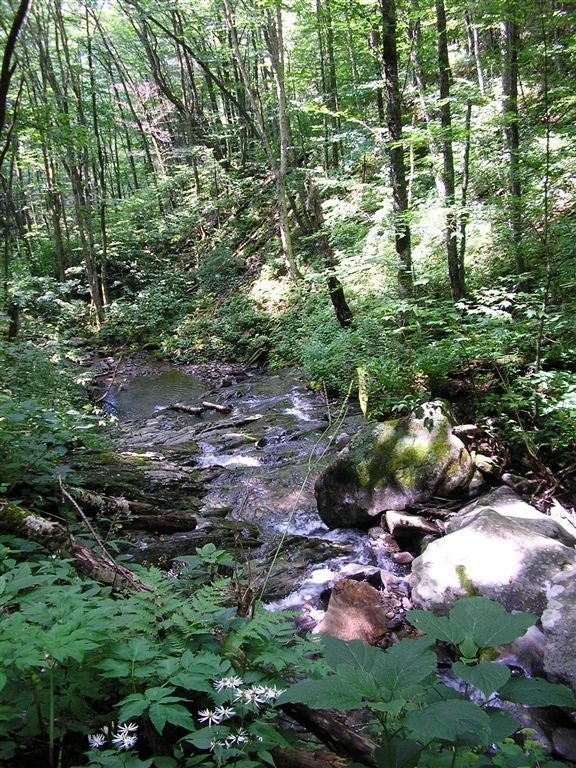 Charles Bunion Loop, Great Smoky Mountains National Park