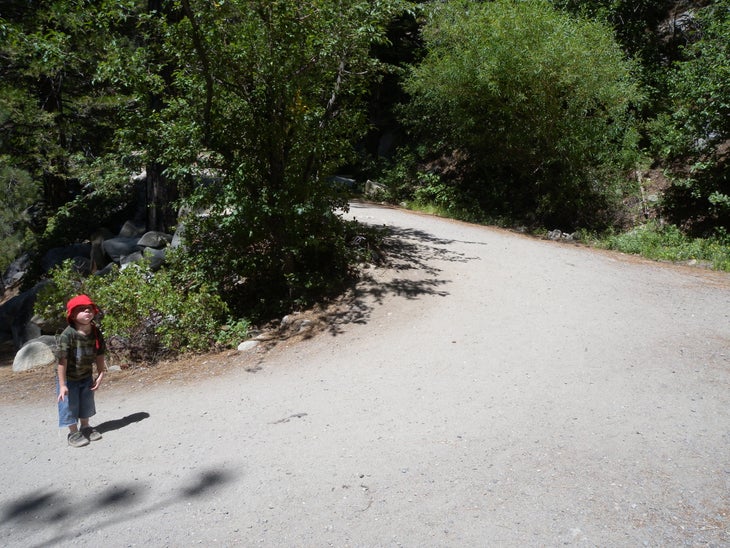 Switchback None