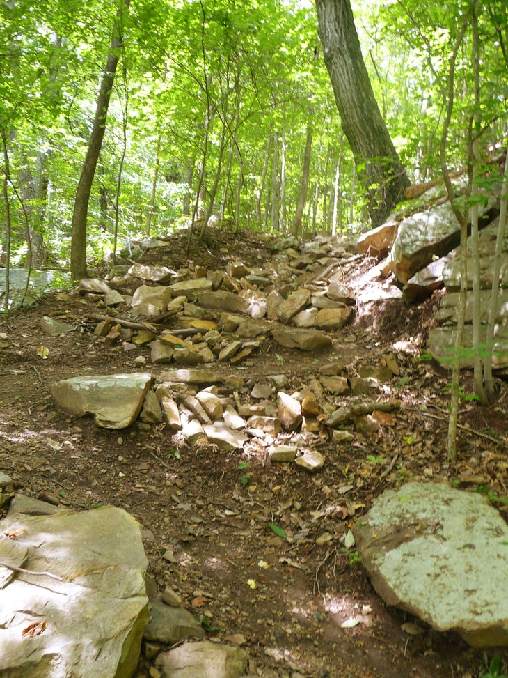 Switchback climb None