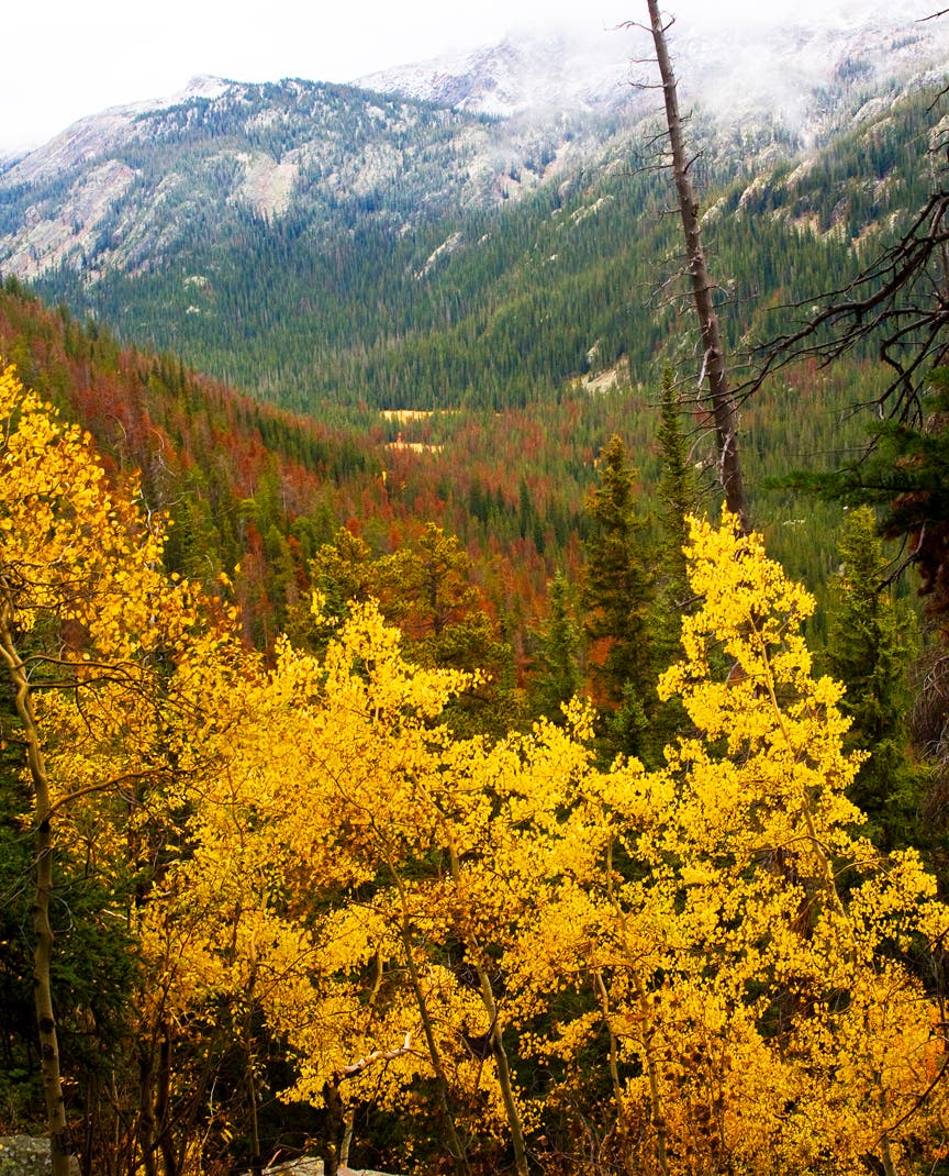 Switchback Vistas None