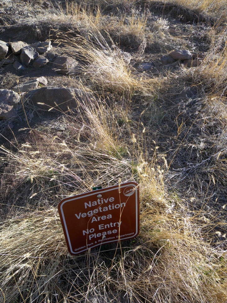 Switchbacks None