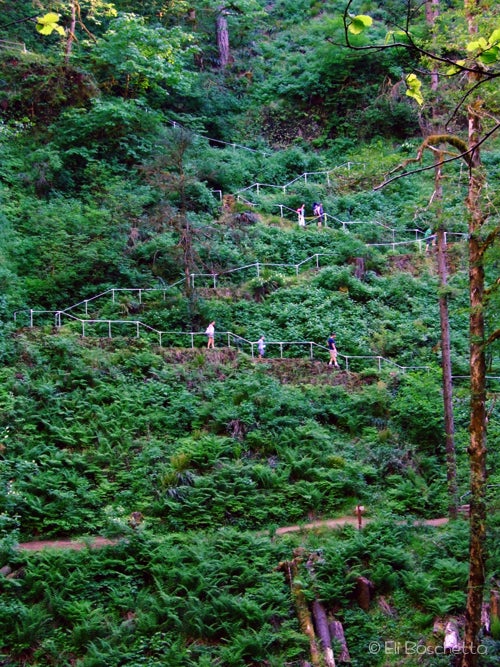 Switchbacks None