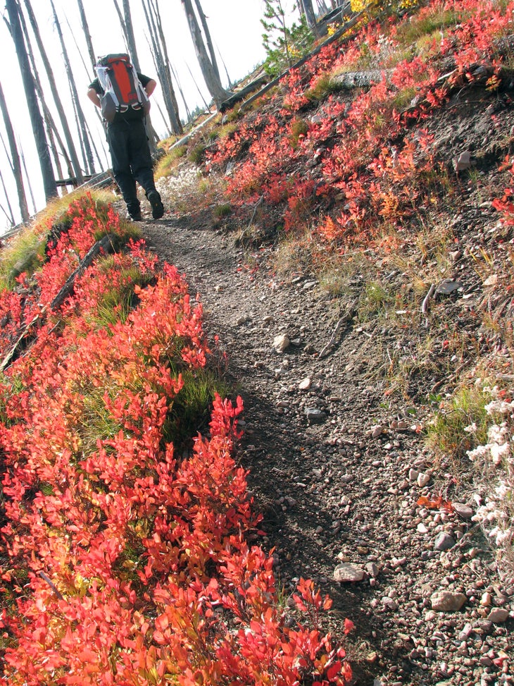 Switchbacks None