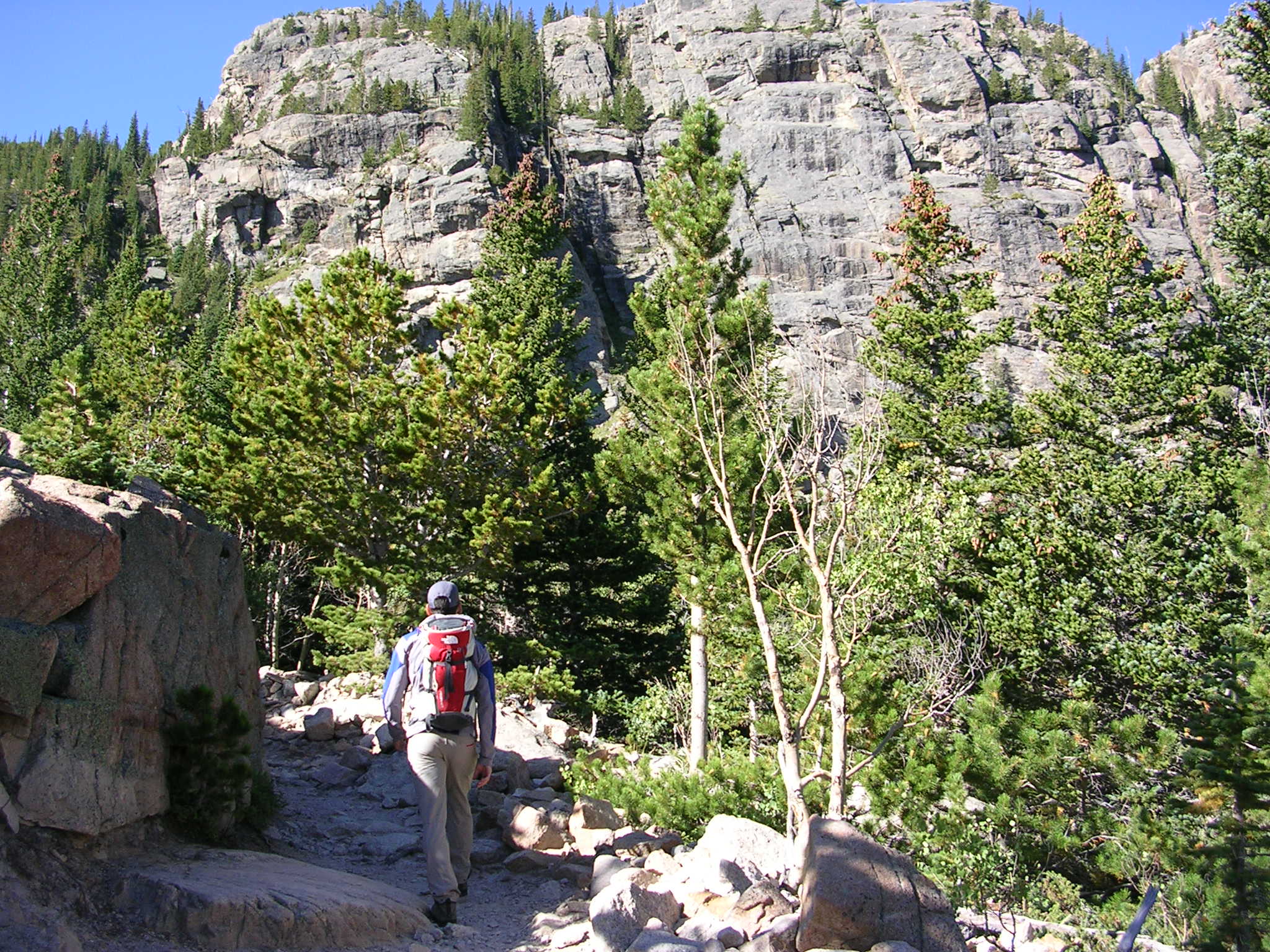 Switchbacks above Alberta Falls None