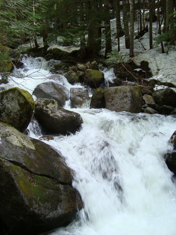 Talapus Creek None