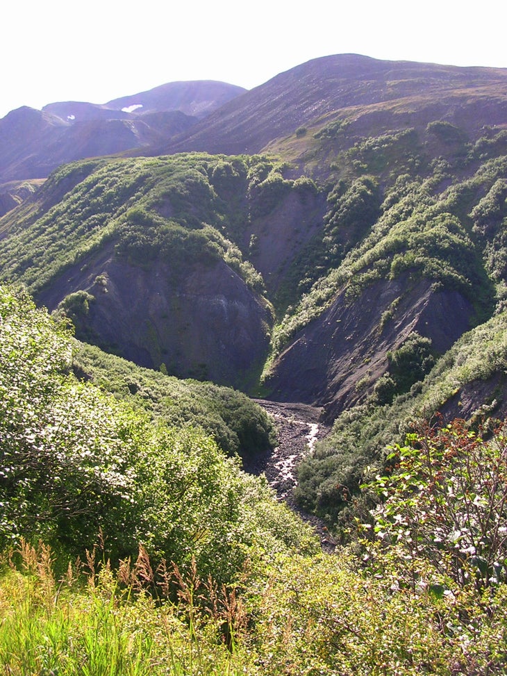 Talkeetna Foothills None