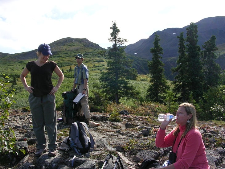Talkeetna Range None
