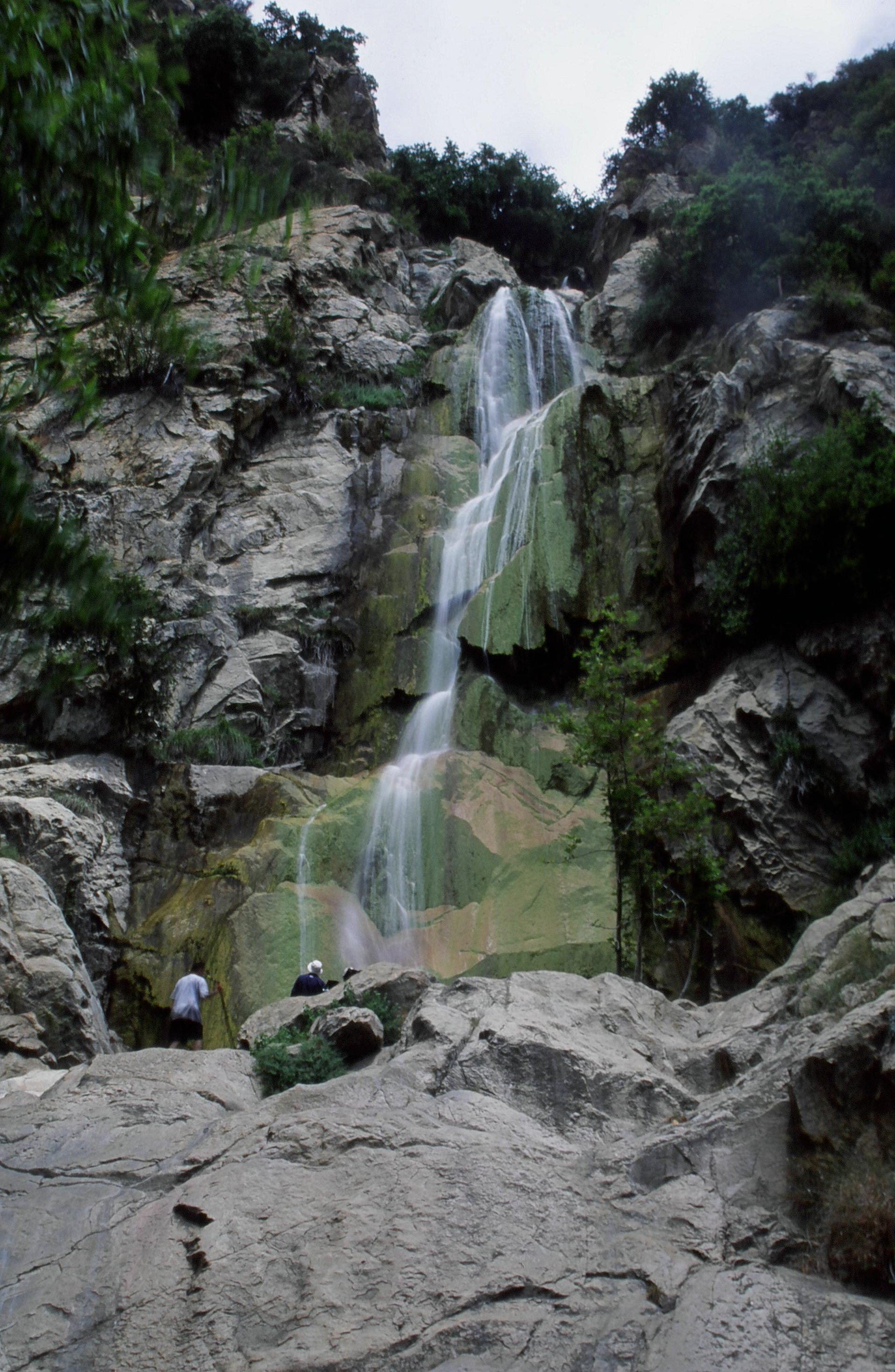 Tangerine Falls None