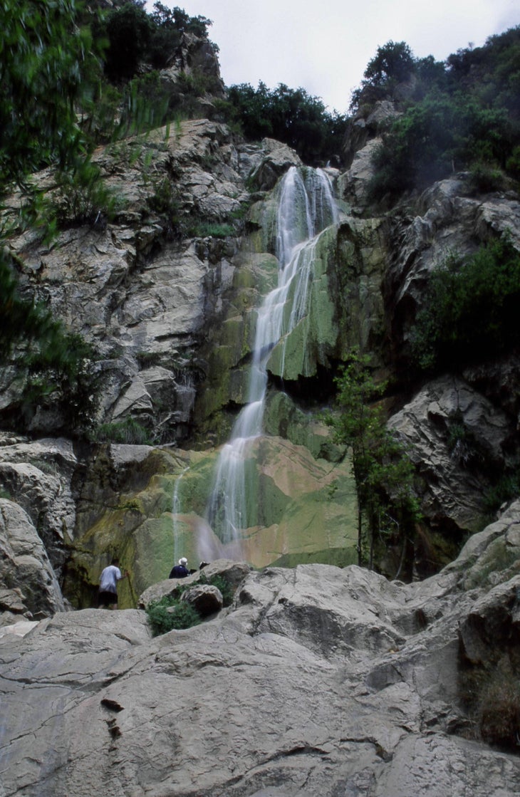 Tangerine Falls None