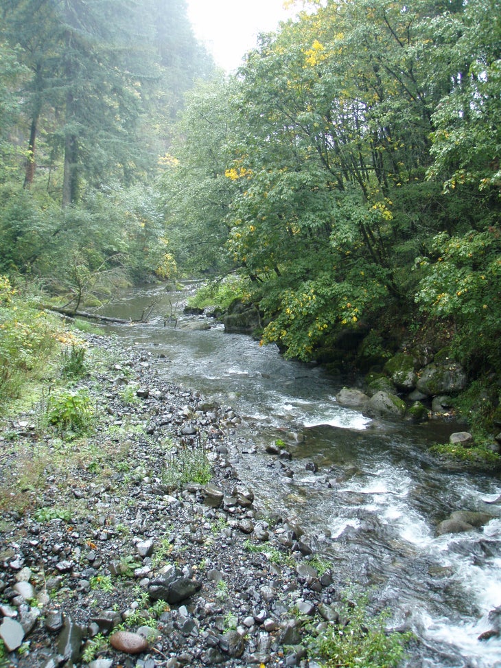 Tanner Creek None