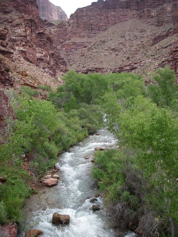 Tapeats Creek None