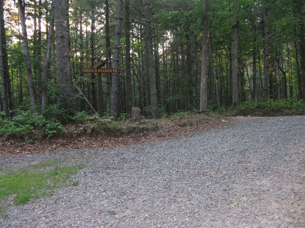 Tarklin Branch Road Intersection None