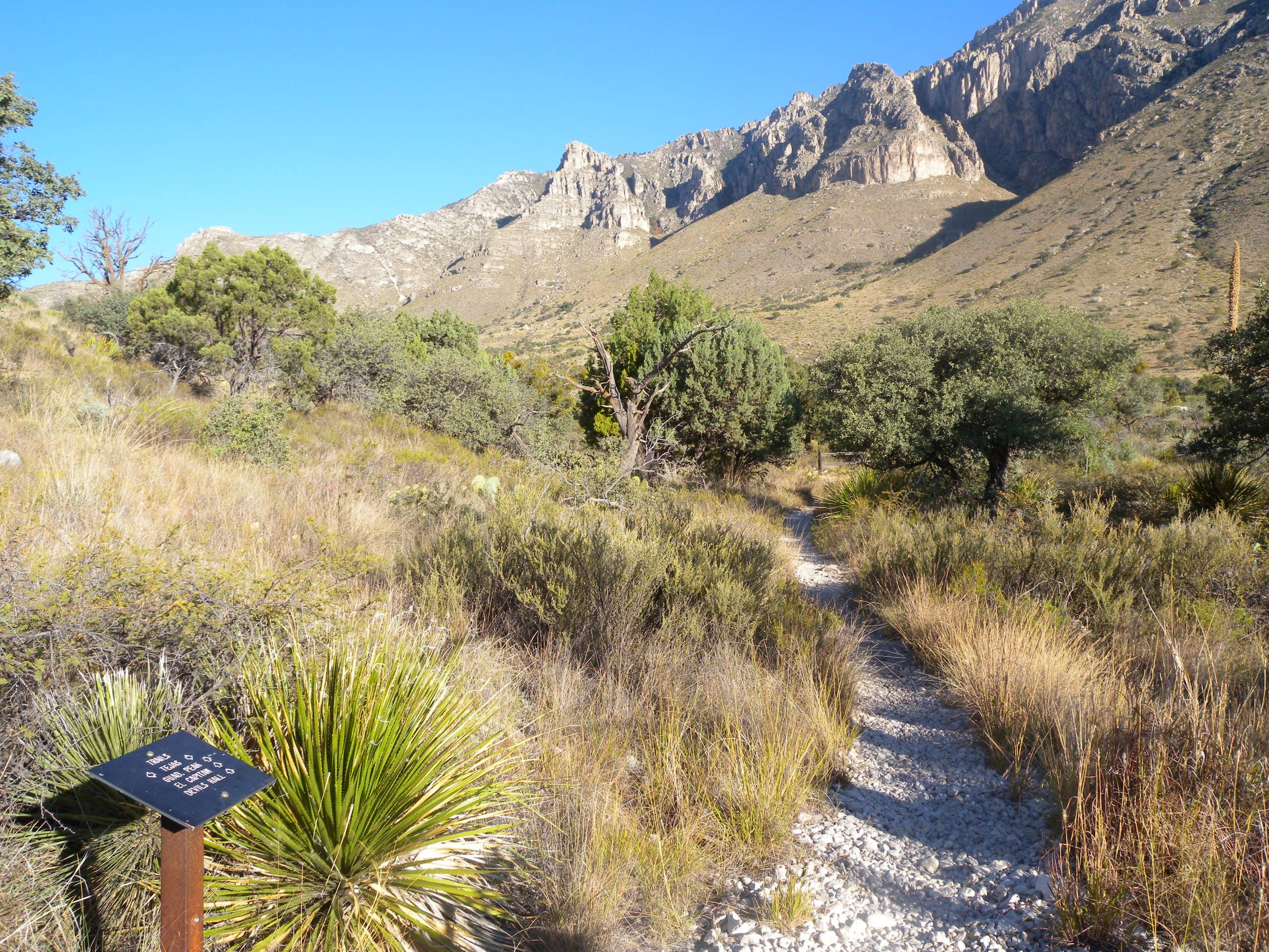 The Tejas Trail is the first section of the Bowl Loop hike. A green valley seen from the Bowl Loop Hike.