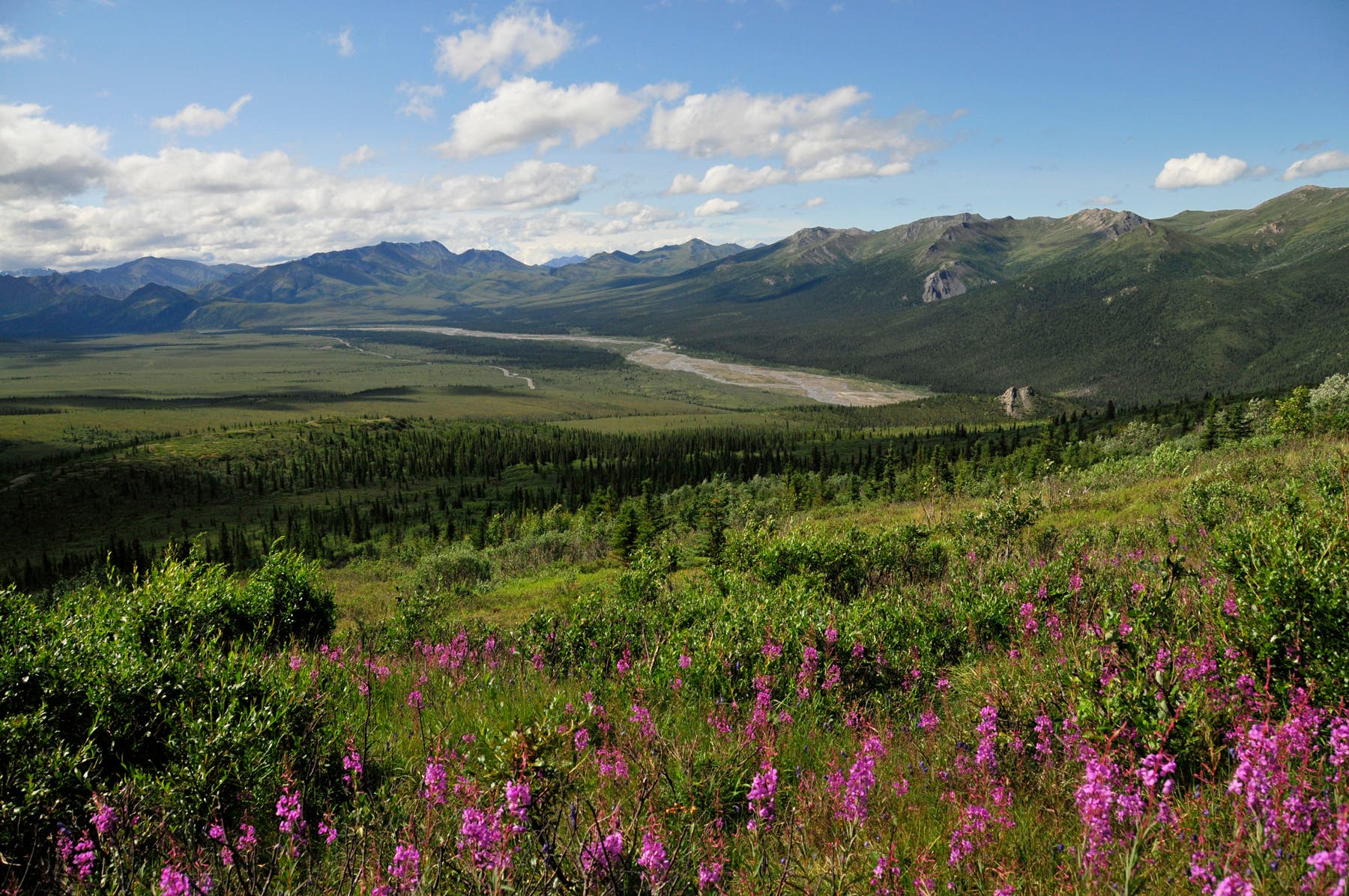 Teklanika River None