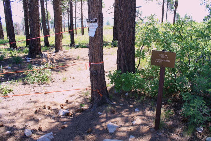 Telephone Canyon Route Closed None