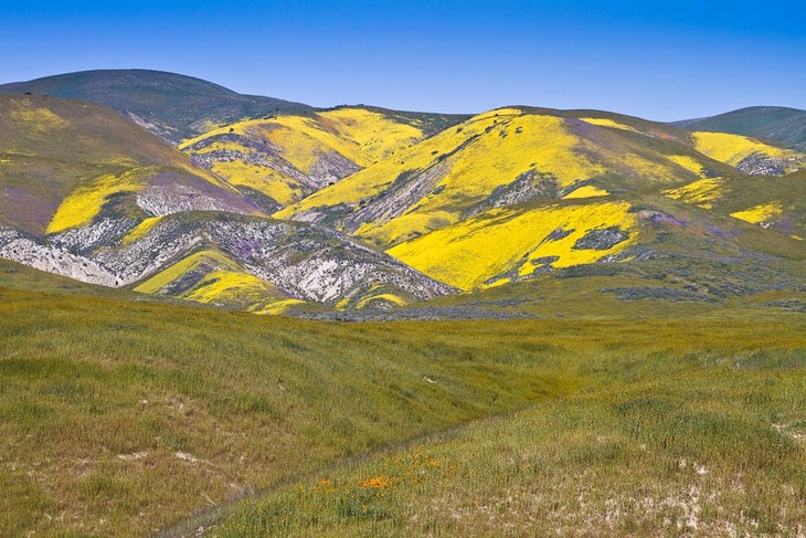 Temblor Range None