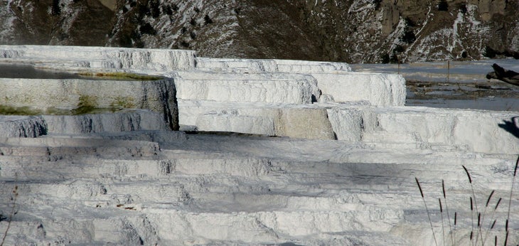 Terraces None
