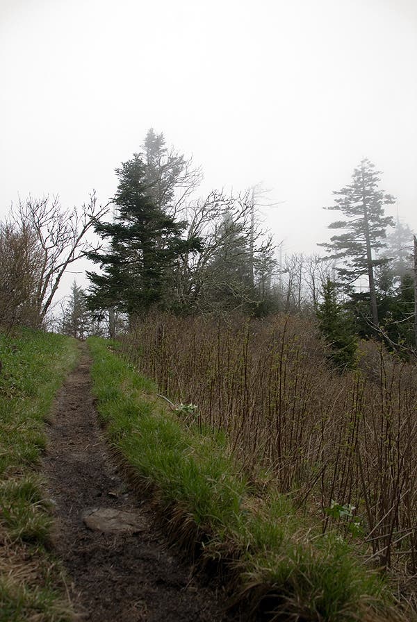 The Appalachian Trail None