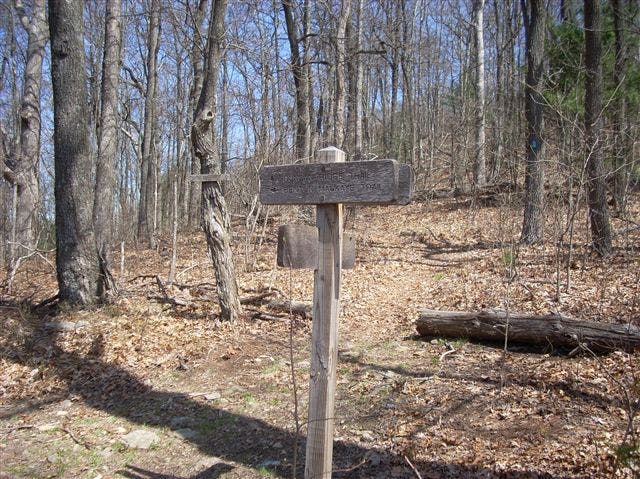 The BMT/DRT Split None