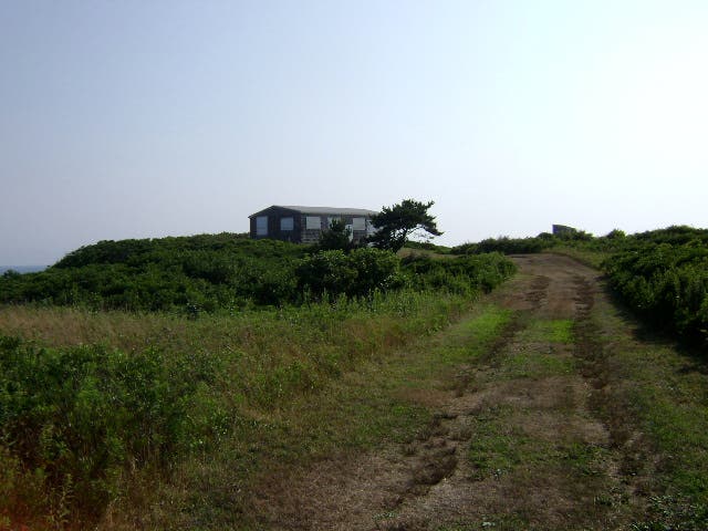 The Cabin Driveway None