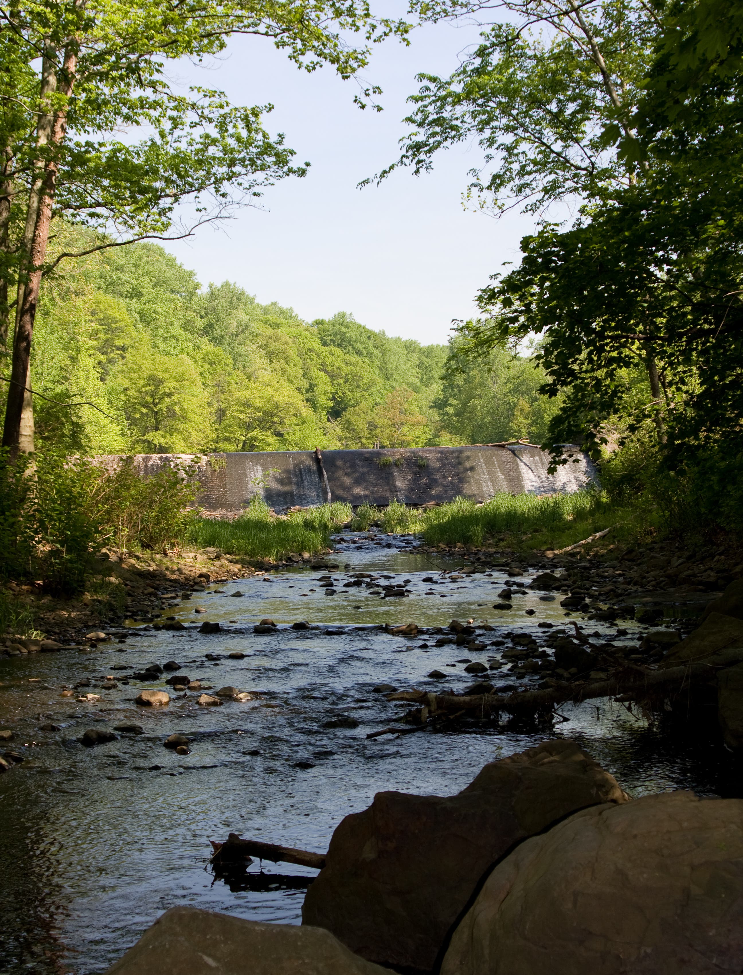 The dam at Diamond Mill Pond None