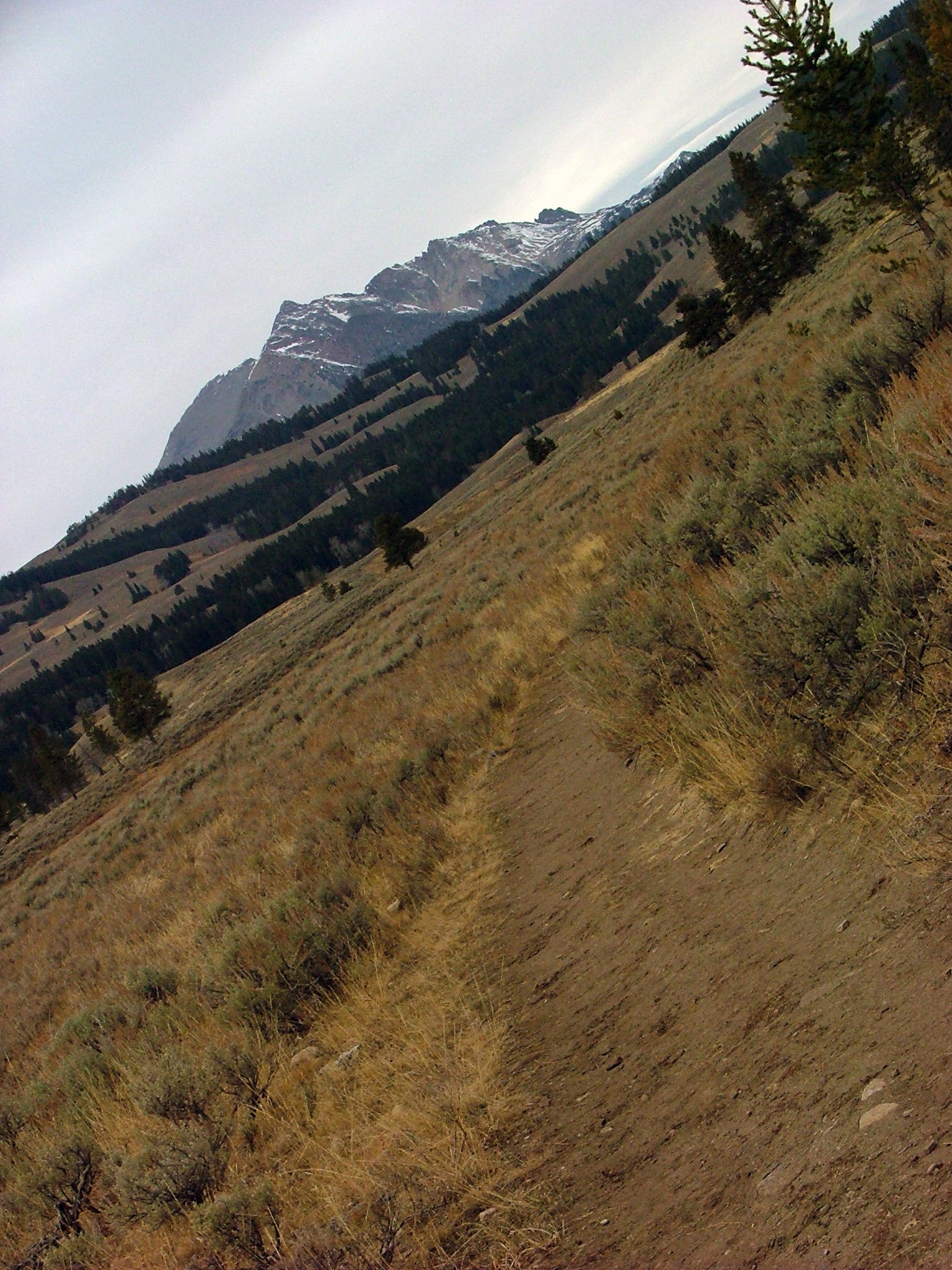 The Distant Peak None