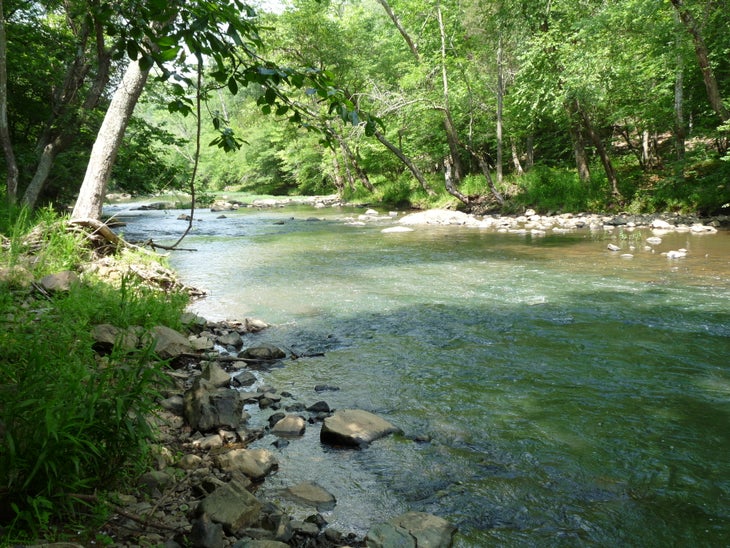 The Eno River None
