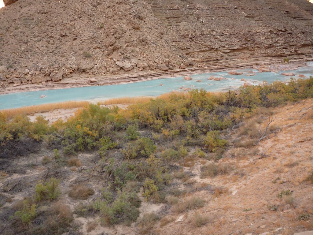 Little Colorado River The Little Colorado River, light blue in color, rushes through the canyon.