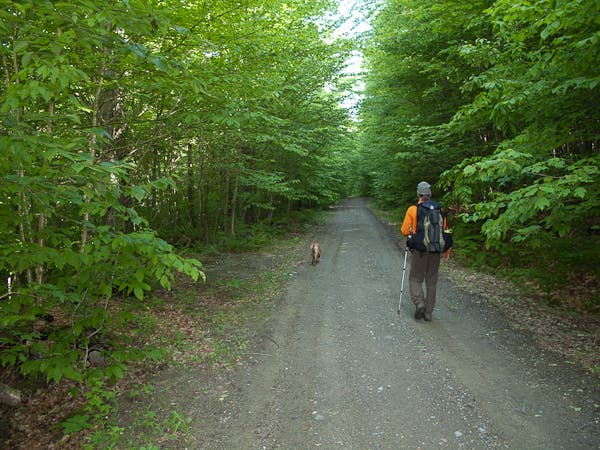 The Gravel Long Trail None
