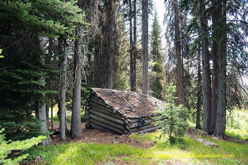 The Hunter's Cabin None