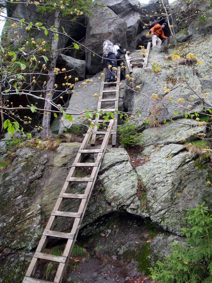 The Ladders None