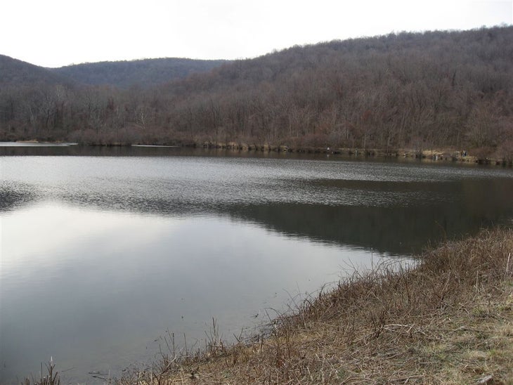 The Lake None