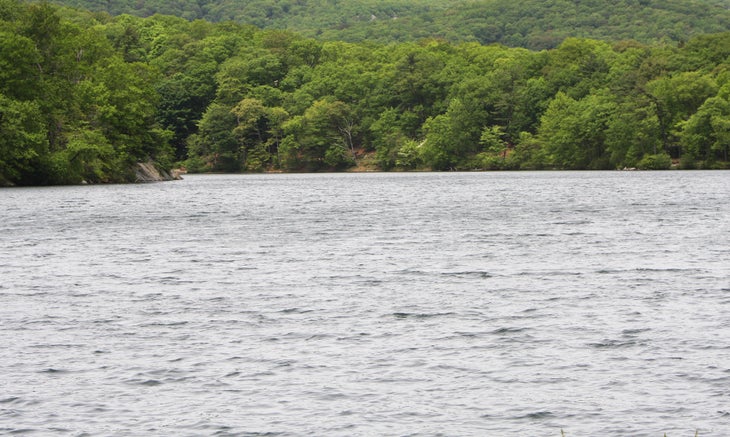 The lake None