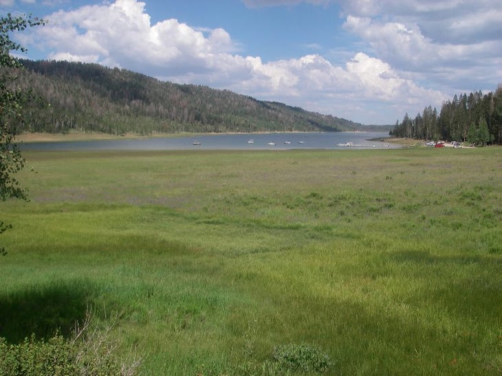 The lakeview west to east None