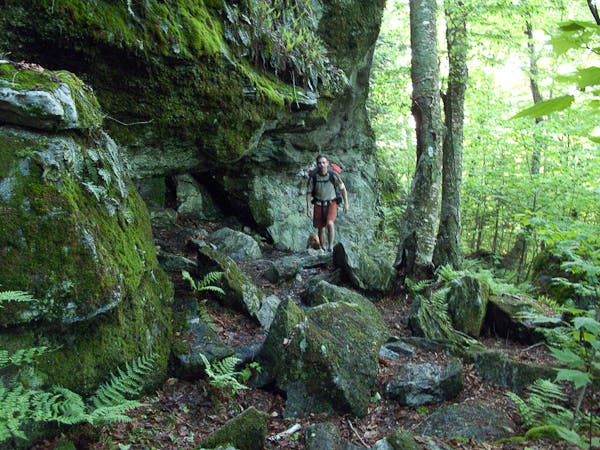 The Long Trail in Green None