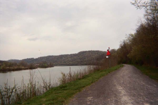 The Monongahela River None