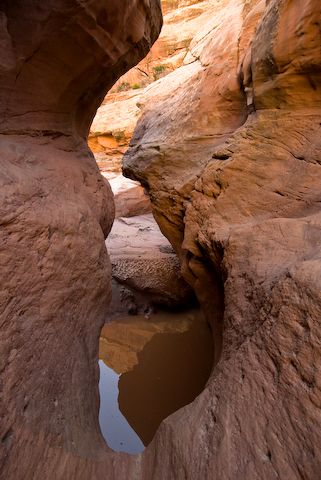 The Narrows None