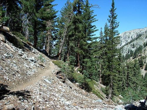 The Ontario Peak Trail None