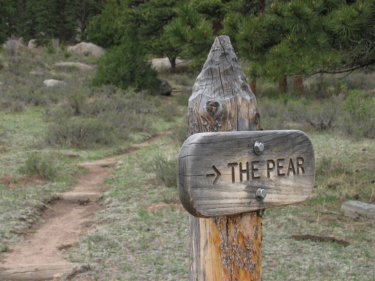 The Pear None