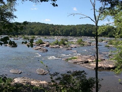 The Potomac None