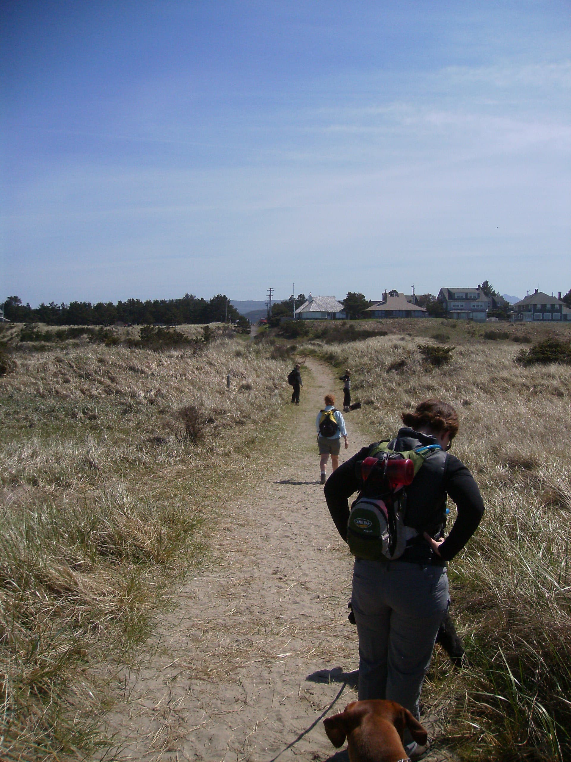 The Ridge Trail None