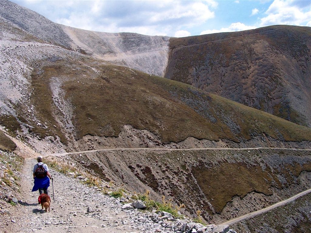 The road to the ridge None