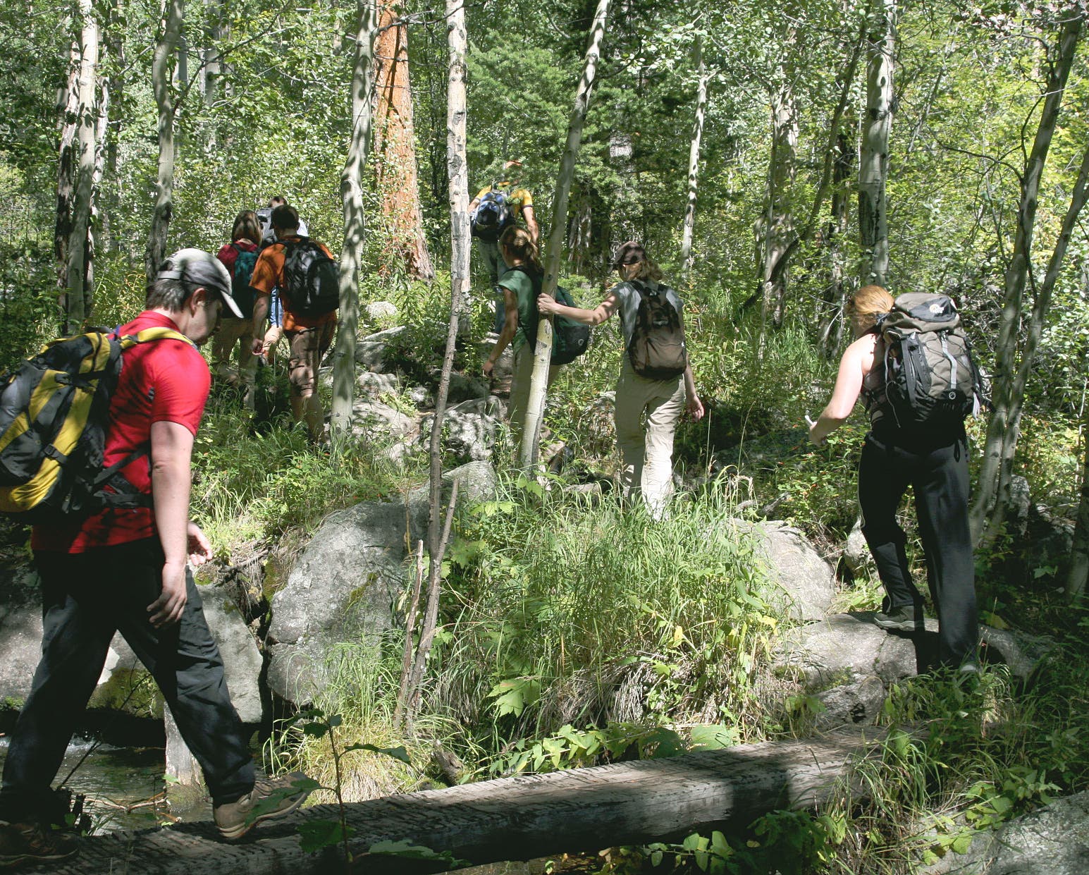 The second bridge None