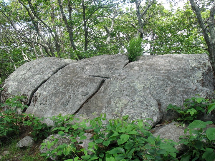 The Summit None