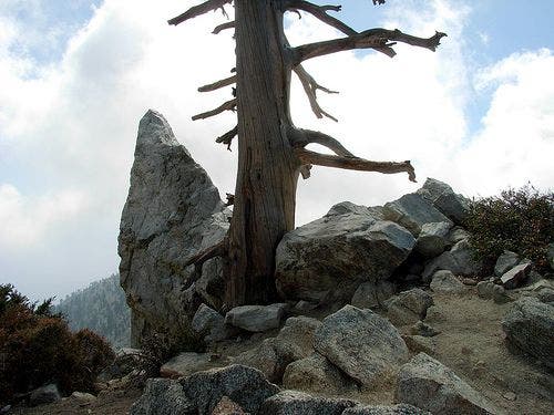 The summit of Ontario Peak None