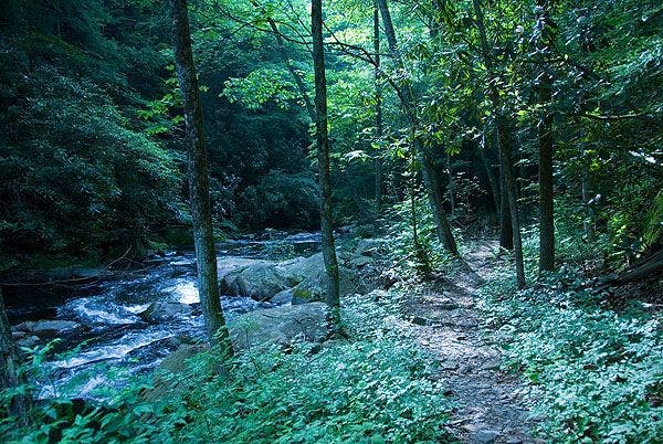 The trail along the river None